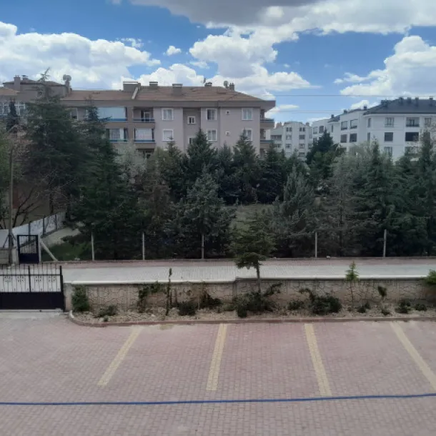 Arsa