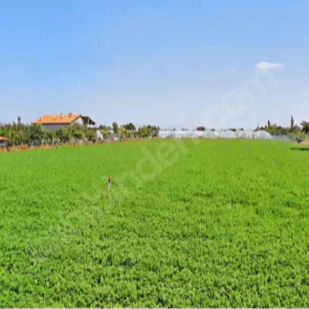 ALAKOVA MAHALLESİ'NDE 8.000 M2 SATILIK TARLA